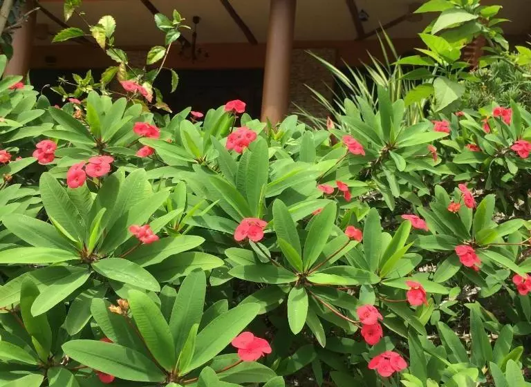 هتل Nyore Hillside Retreat