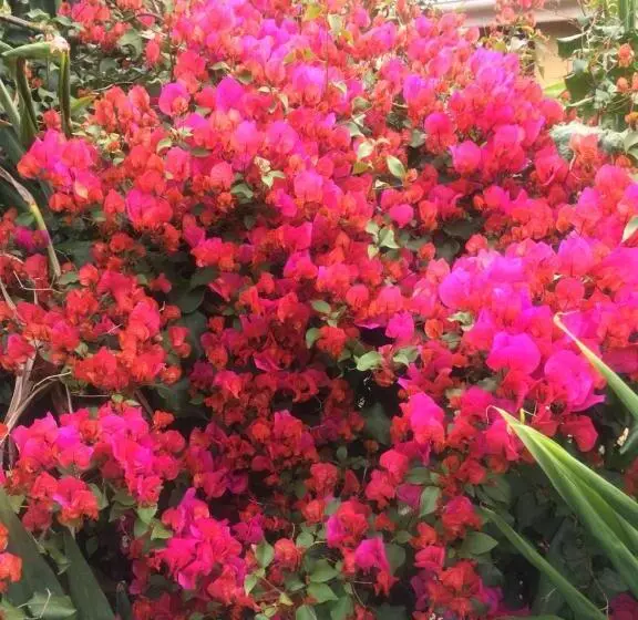 هتل Nyore Hillside Retreat