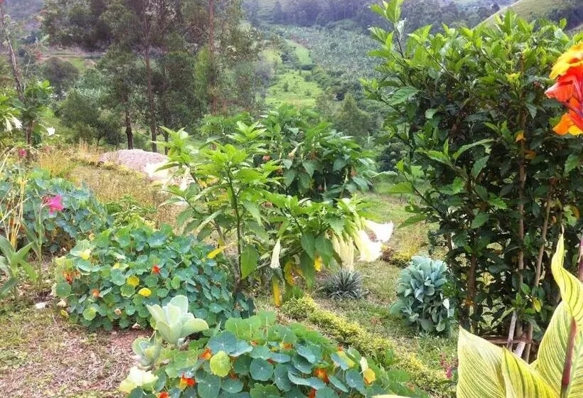 هتل Nyore Hillside Retreat