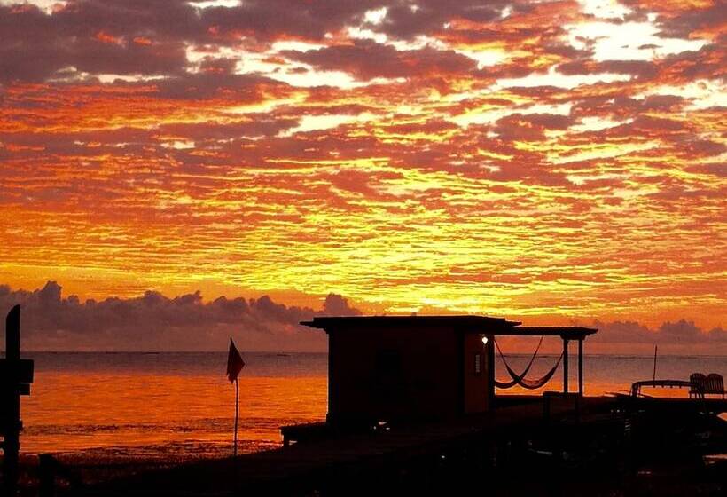 استراحتگاه Playa Del Sol