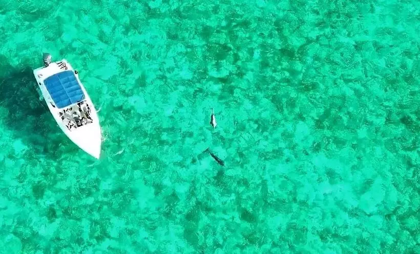 リゾートホテル Playa Del Sol