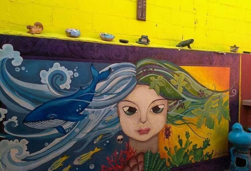 旅馆 Ensenada Backpacker