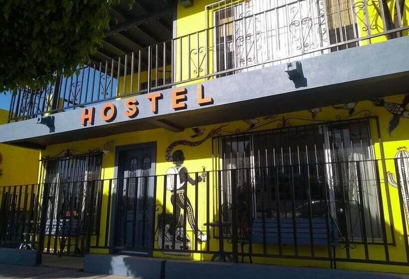 旅馆 Ensenada Backpacker