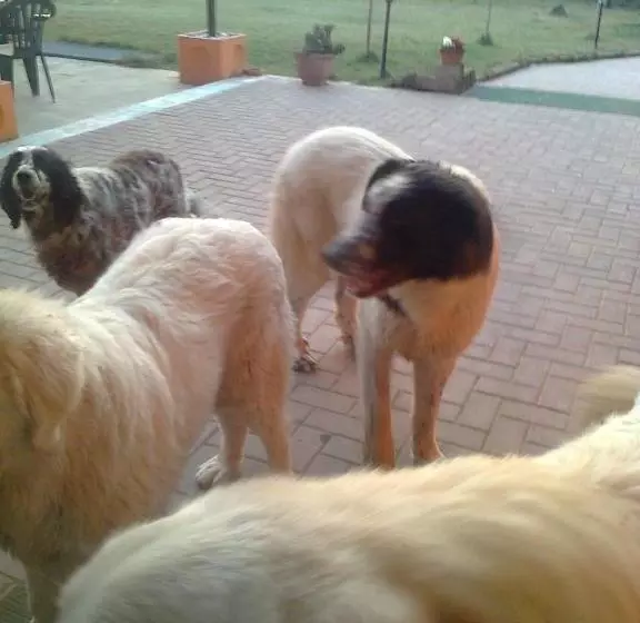 Bed And Breakfast Di Manu