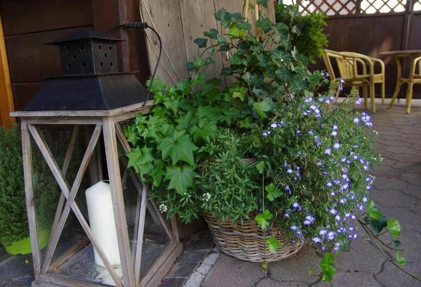 Bed and Breakfast Gasthof Zum Guten Tropfen