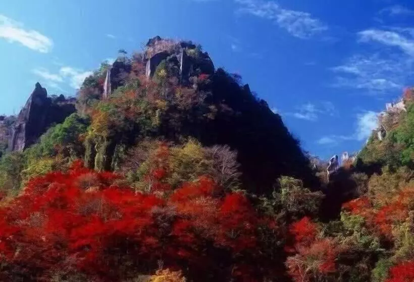 ホテル Grand Plaza Nakatsu