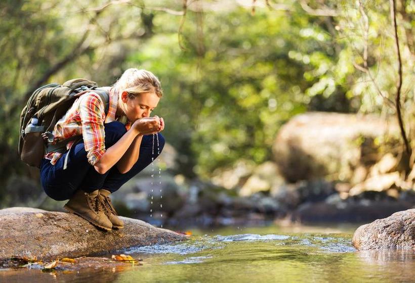 ホテル Landgasthof Mamoosen