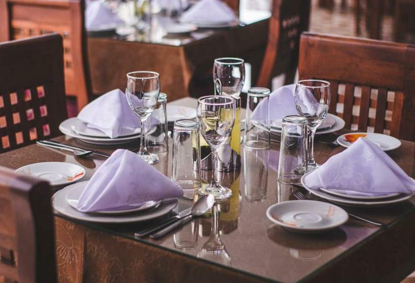 فندق Sol De Arica