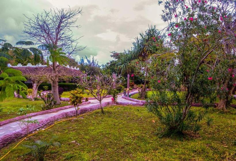 בית מלון כפרי Zanzi Rest Bungalow