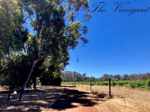 استراحتگاه Harmony Forest Cottages & Lake Side Lodge