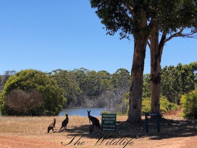 استراحتگاه Harmony Forest Cottages & Lake Side Lodge