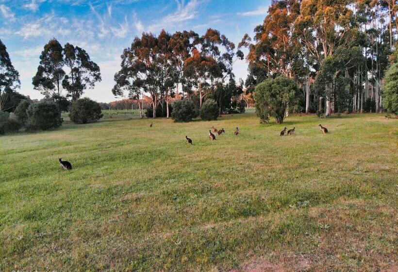 استراحتگاه Harmony Forest Cottages & Lake Side Lodge