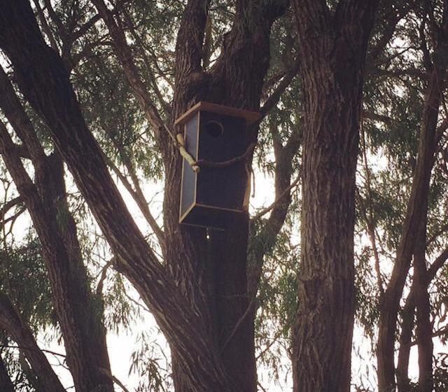 استراحتگاه Harmony Forest Cottages & Lake Side Lodge