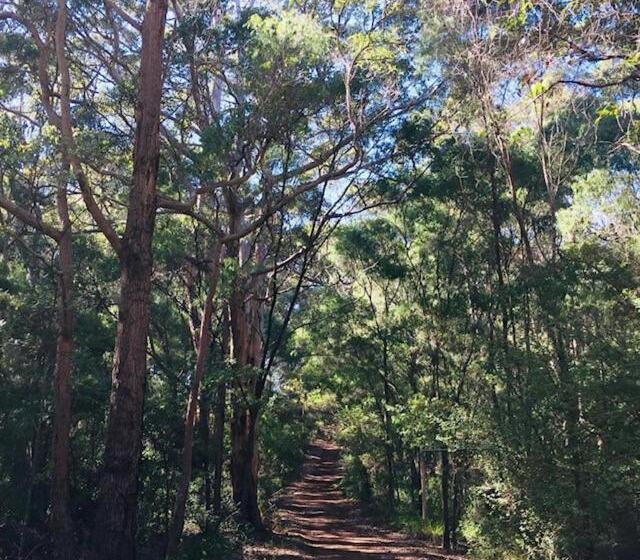 استراحتگاه Harmony Forest Cottages & Lake Side Lodge