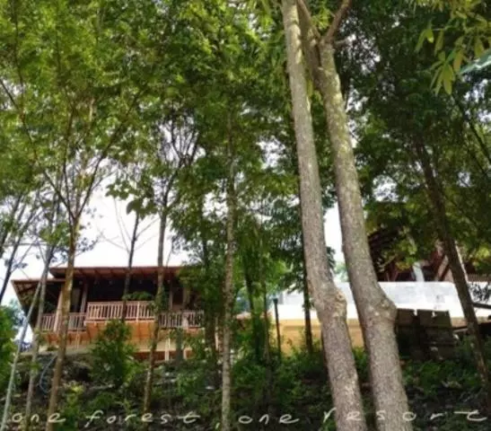 リゾートホテル The Shorea