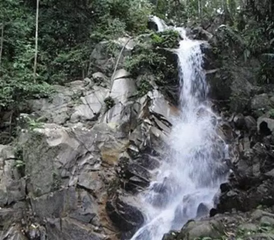 リゾートホテル The Shorea