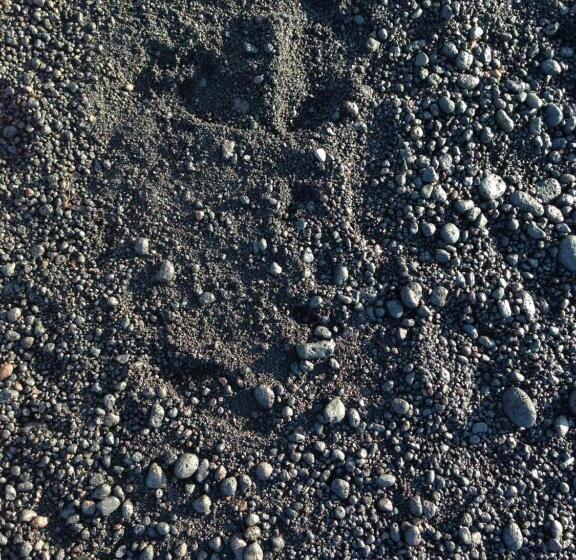 B&b La Goletta Di Salina