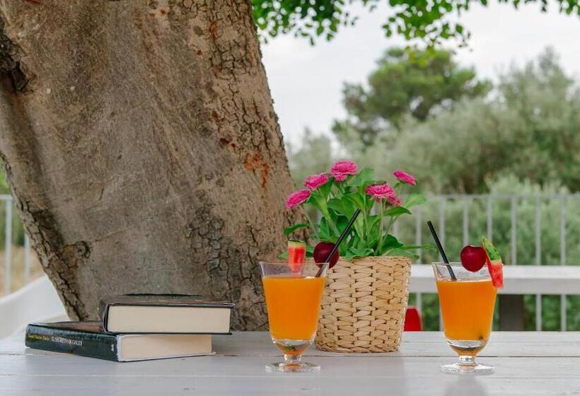 مبيت وإفطار Barokhouse