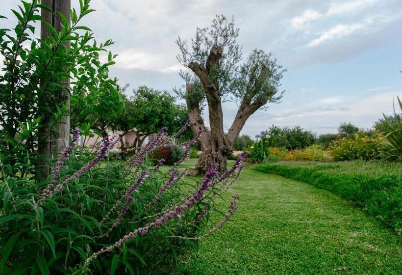 مبيت وإفطار Barokhouse