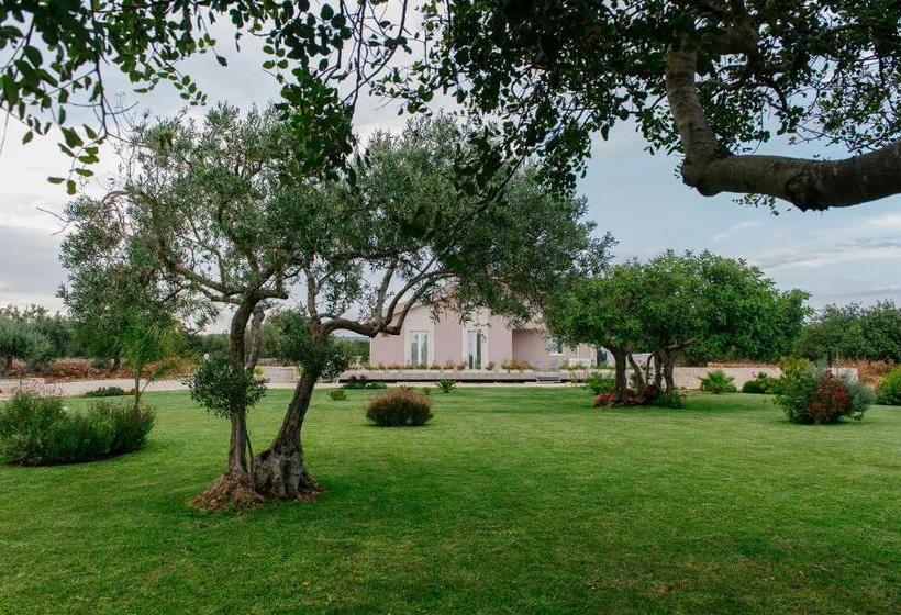 مبيت وإفطار Barokhouse