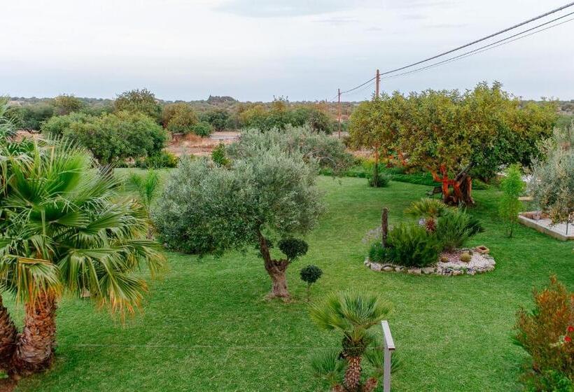 مبيت وإفطار Barokhouse