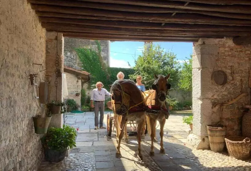 تختخواب و صبحانه Casa Barnaba Manin