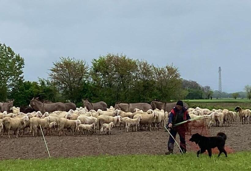 住宿加早餐 Casa Barnaba Manin