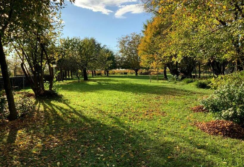 住宿加早餐 Casa Barnaba Manin