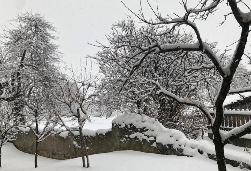 住宿加早餐  Garni Glurnserhof