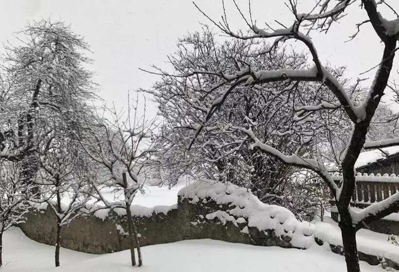 ベッドアンドブレックファースト Garni Glurnserhof