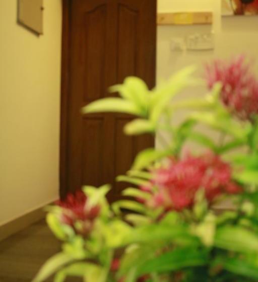 ベッドアンドブレックファースト Namasthe Fort Kochi