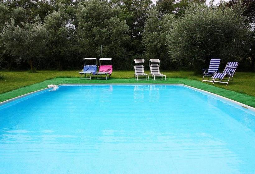 住宿加早餐 San Giorgio Lazise