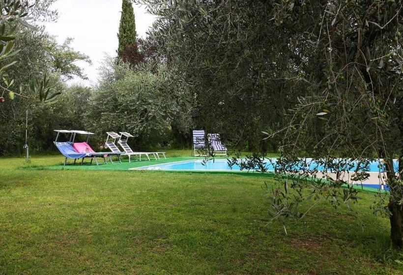 住宿加早餐 San Giorgio Lazise