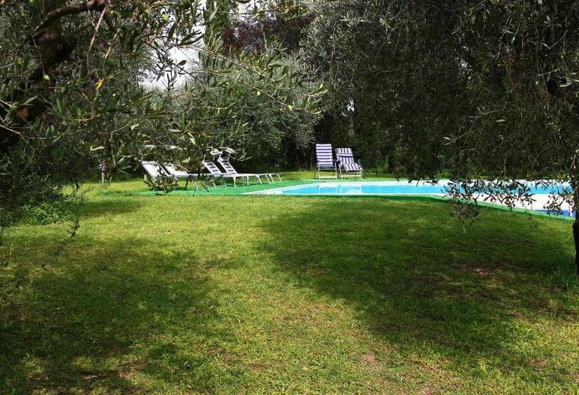 住宿加早餐 San Giorgio Lazise