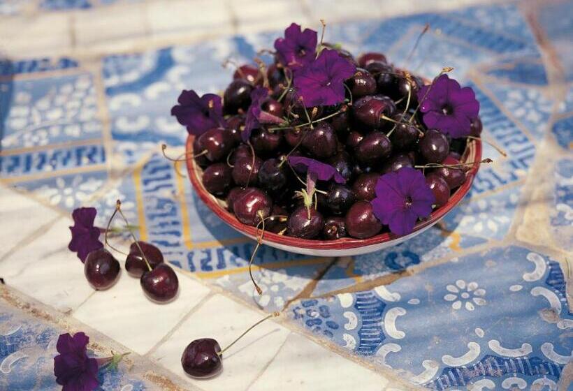 مبيت وإفطار Villa Laetitia