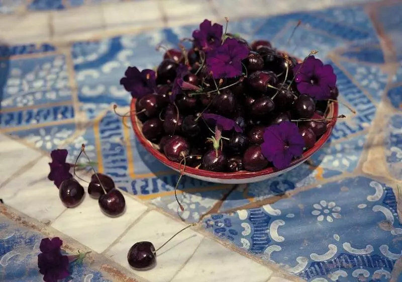 Aamiaismajoitus (B&B) Villa Laetitia