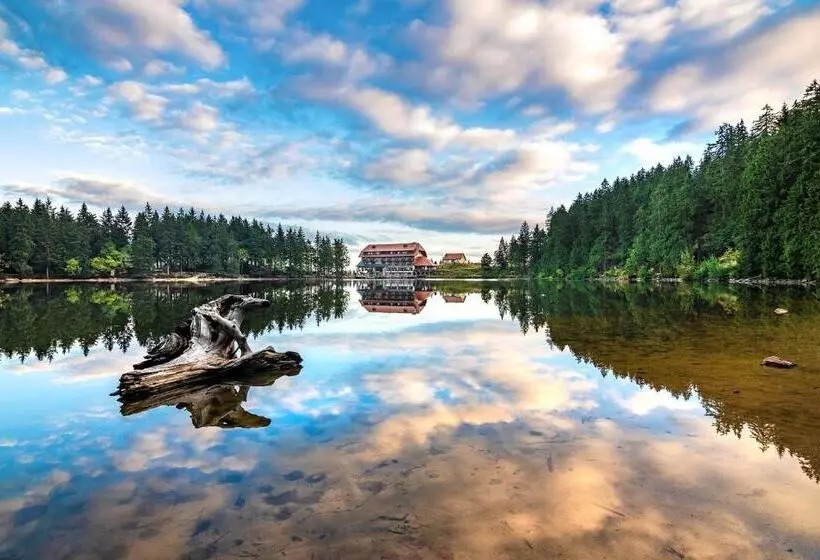 Berghotel Mummelsee
