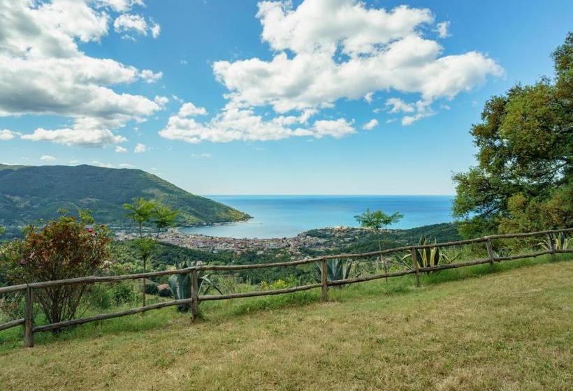 Driùs Edodè   B&b Affittacamere