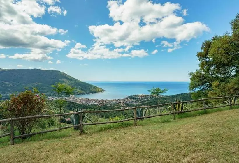 Driùs Edodè   B&b Affittacamere