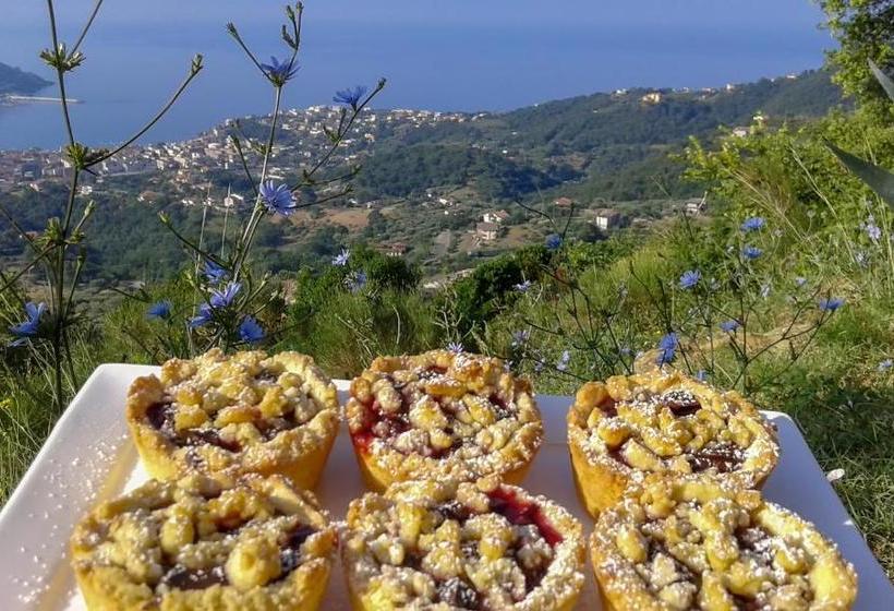 Driùs Edodè   B&b Affittacamere