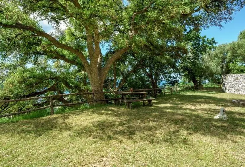 Driùs Edodè   B&b Affittacamere