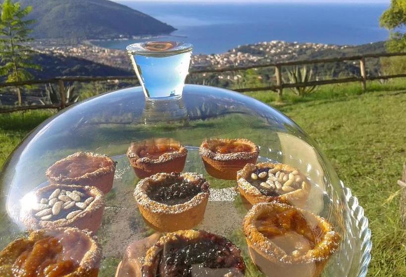 Driùs Edodè   B&b Affittacamere