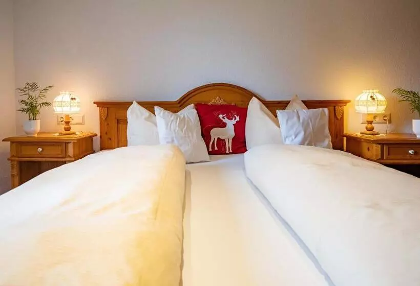 ホテル & Restaurant Grüner Baum   Die Grüne Oase Am Feldberg