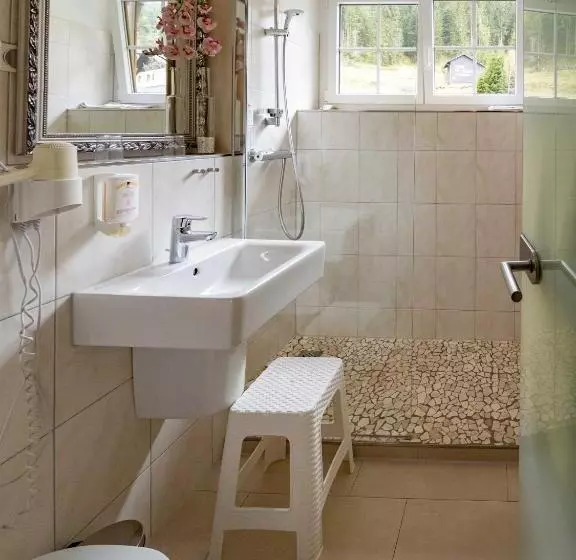 ホテル & Restaurant Grüner Baum   Die Grüne Oase Am Feldberg