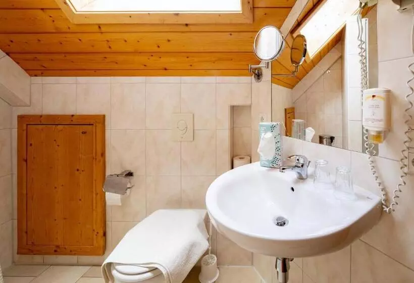 ホテル & Restaurant Grüner Baum   Die Grüne Oase Am Feldberg