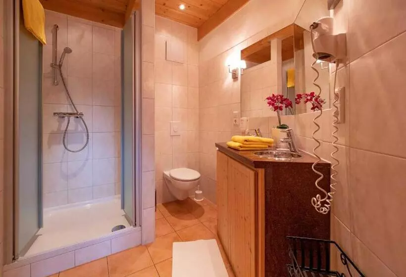 ホテル & Restaurant Grüner Baum   Die Grüne Oase Am Feldberg