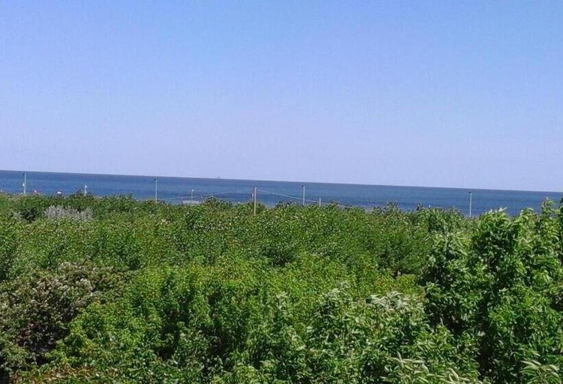 B&b   Meuble    Hotel  Cordiale