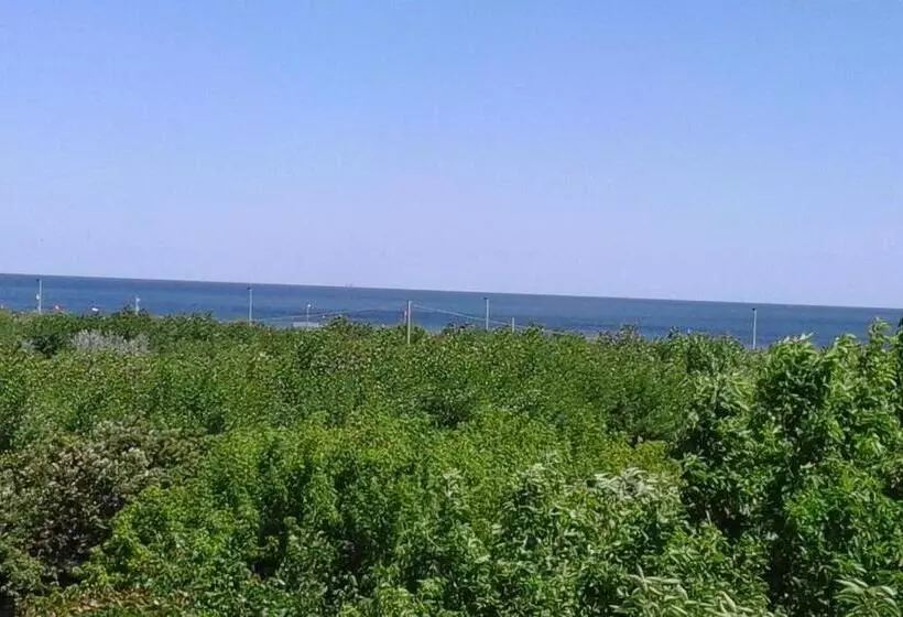 B&b   Meuble    Hotel  Cordiale