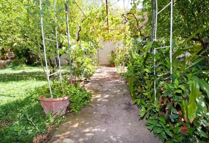 B&b Casa Rosino