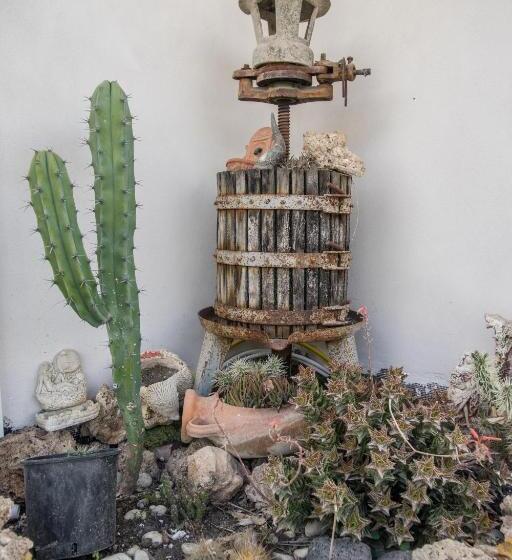 B&b Country House Il Grappolo